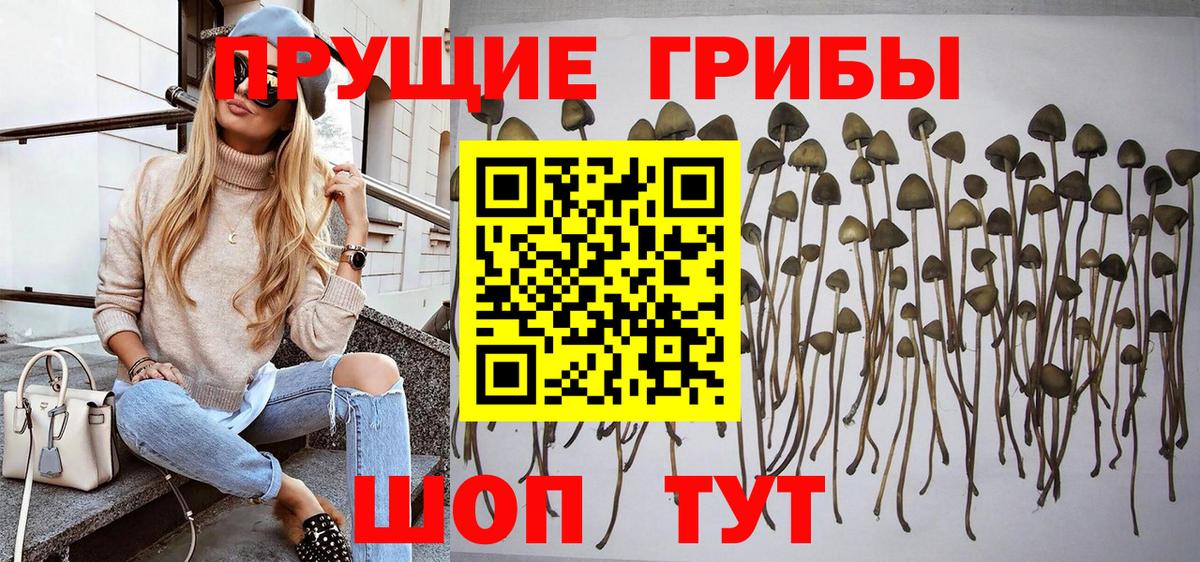 Санкт-Петербург  Галлюциногенные грибы MAGIC MUSHROOMS  Вход с VPN 