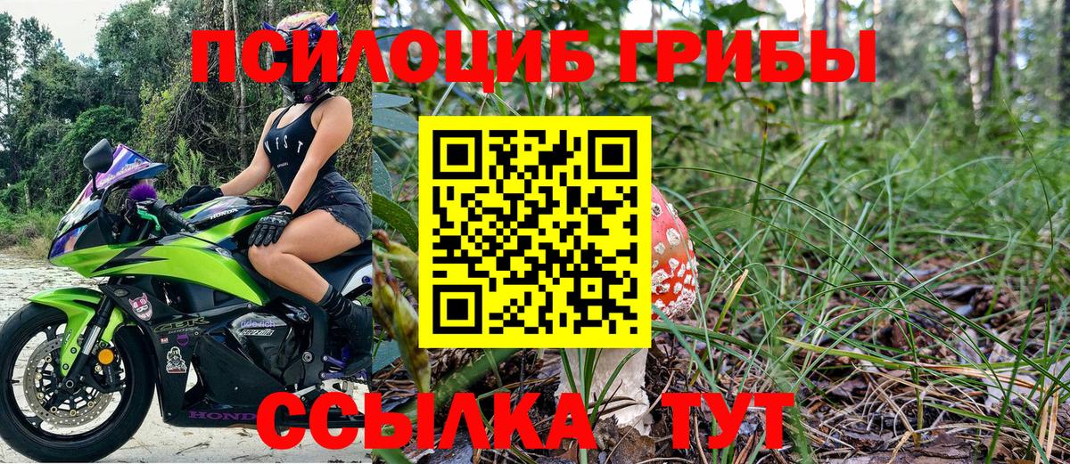 Псилоцибиновые грибы GOLDEN TEACHER Санкт-Петербург